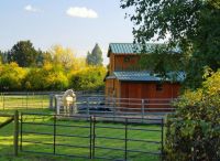 Country Life