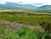 Scenes from the Isle of Arran