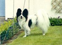 scan0002
