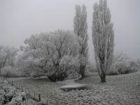Hoar Frost Oturehua NZ