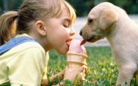 This cute , beautiful baby girl sharing ice-cream with her cute baby puppy. So nice…