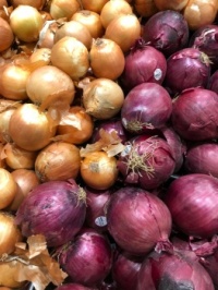 Onions anyone?