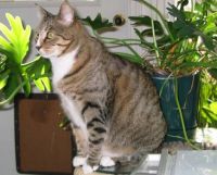 Lucille, RIP 5-1-2012
