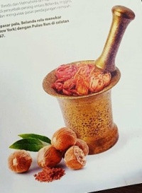 Gold from the Banda Islands - Nutmeg - native to the Banda islands in Maluku Province.*