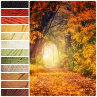 2024 Autumn Walk Color Palette
