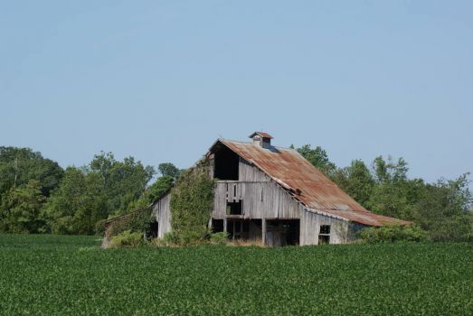 Old Barn repeat ~ July 23, 2012
