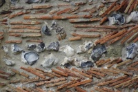 Detail of the brick, stone and shell heavily-mortared wall. Are those oyster shells, one wonders.  Salisbury UK