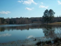 Pine Lake ( Early  Spring)