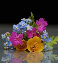 Bloemen