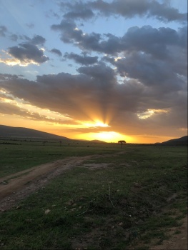Maasai Mara National Reserve sunset