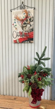 Cat Christmas banner and seasonal greens