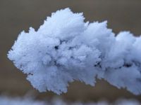Frost