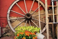 Wagon Wheel and Orange Flowers, resizable 12 to 600 pieces