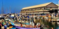 Jaffa Port Market
