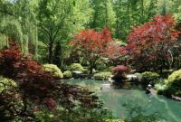 A Japanese garden . .