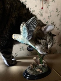 I’ll get you birdie!