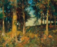 Forest puzzles | Jigidi.com