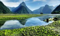 Milford Sound, New Zealand at low tide
