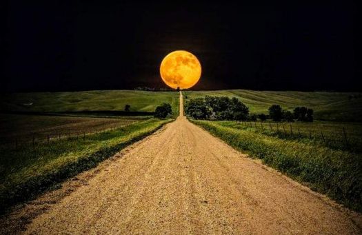 Down the long dirt road the moon takes a walk!