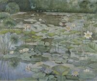 Lillies in Water