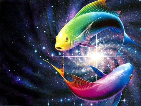 Fish is Space