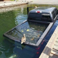 Rough day at the launch!