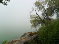 fog on the lake