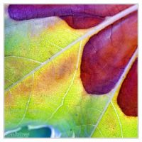 Colours 03