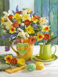 A Spring Display (Medium)