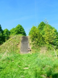 Stairs leading to a 'wacht place' in the Lime Arboretum