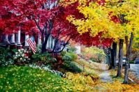 fall