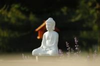 Boeddha in garden
