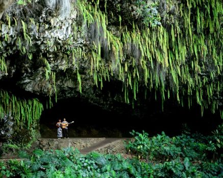 'Fern Grotto, Kauai, Hawaii'..