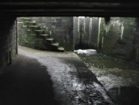 A cruise along the Trent and Mersey Canal, Hardings Wood Junction to Derwent Mouth (202)