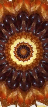 Kaleido