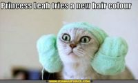 Princess Leia