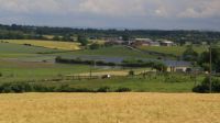 Stoneybeck Lake and one or more bison