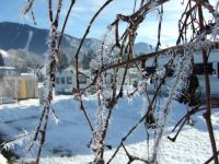 winter 2013 001