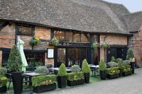 La Cantina del Vino, Marlow