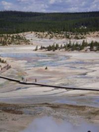 Porcelain Basin in Norris Geyser Basin at Yellowstone National Park