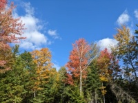 Fall Pictures