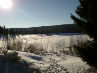 Photo0560