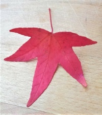 Leaf hand