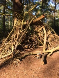 60099939_10156815127890100_6640346698944086016_n