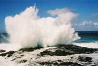 Hawaii Shores