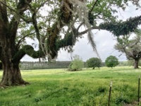 IMG20250402094148