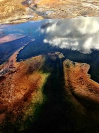 Yellowstone bacteria