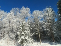 Outside the window