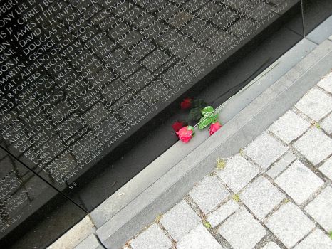 Rose at Vietnam Memorial Section 9E