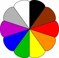 Sunday color (3)
